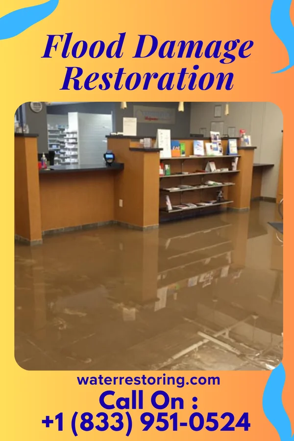 Flood Damage Restoration in North Lilbourn, MO