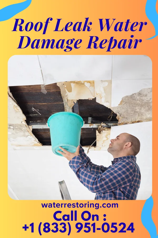 Roof Leak Water Damage Repair in North Lilbourn, MO